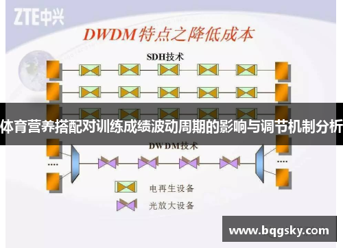 /uploads/images/20250615/ti-yu-ying-yang-da-pei-dui-xun-lian-cheng-ji-bo-dong-zhou-qi-de-ying-xiang-yu-tiao-jie-ji-zhi-fen-xi.webp